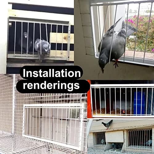 SRRPSPIGEON Pigeon Loft Door 30 cm (12 in) | One-Way Entry for Pigeon Lofts thumbnail 5