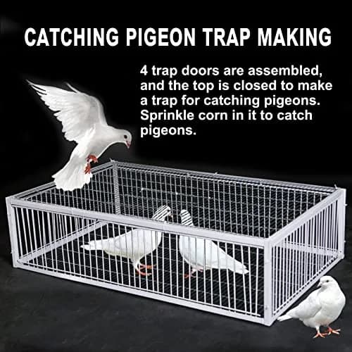 SRRPSPIGEON Pigeon Loft Door 30 cm (12 in) | One-Way Entry for Pigeon Lofts thumbnail 6