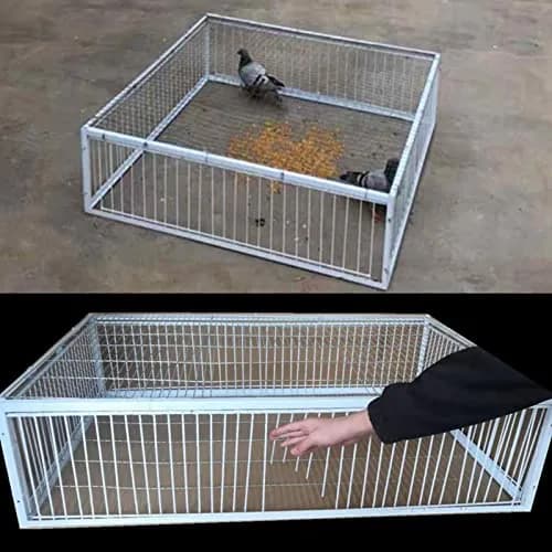 SRRPSPIGEON Pigeon Loft Door 30 cm (12 in) | One-Way Entry for Pigeon Lofts thumbnail 7
