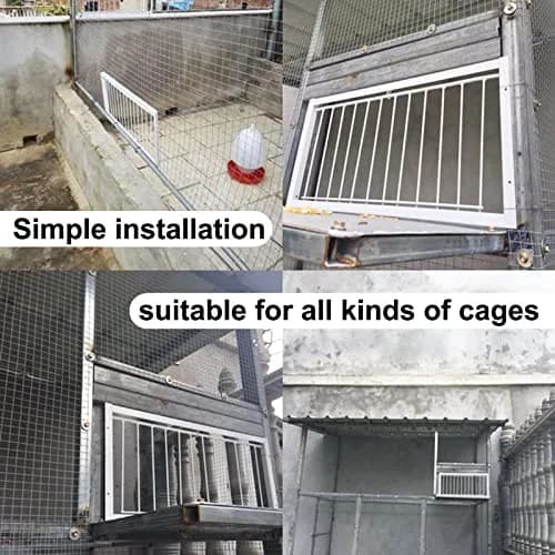 SRRPSPIGEON Pigeon Loft Door 30 cm (12 in) | One-Way Entry for Pigeon Lofts thumbnail 3