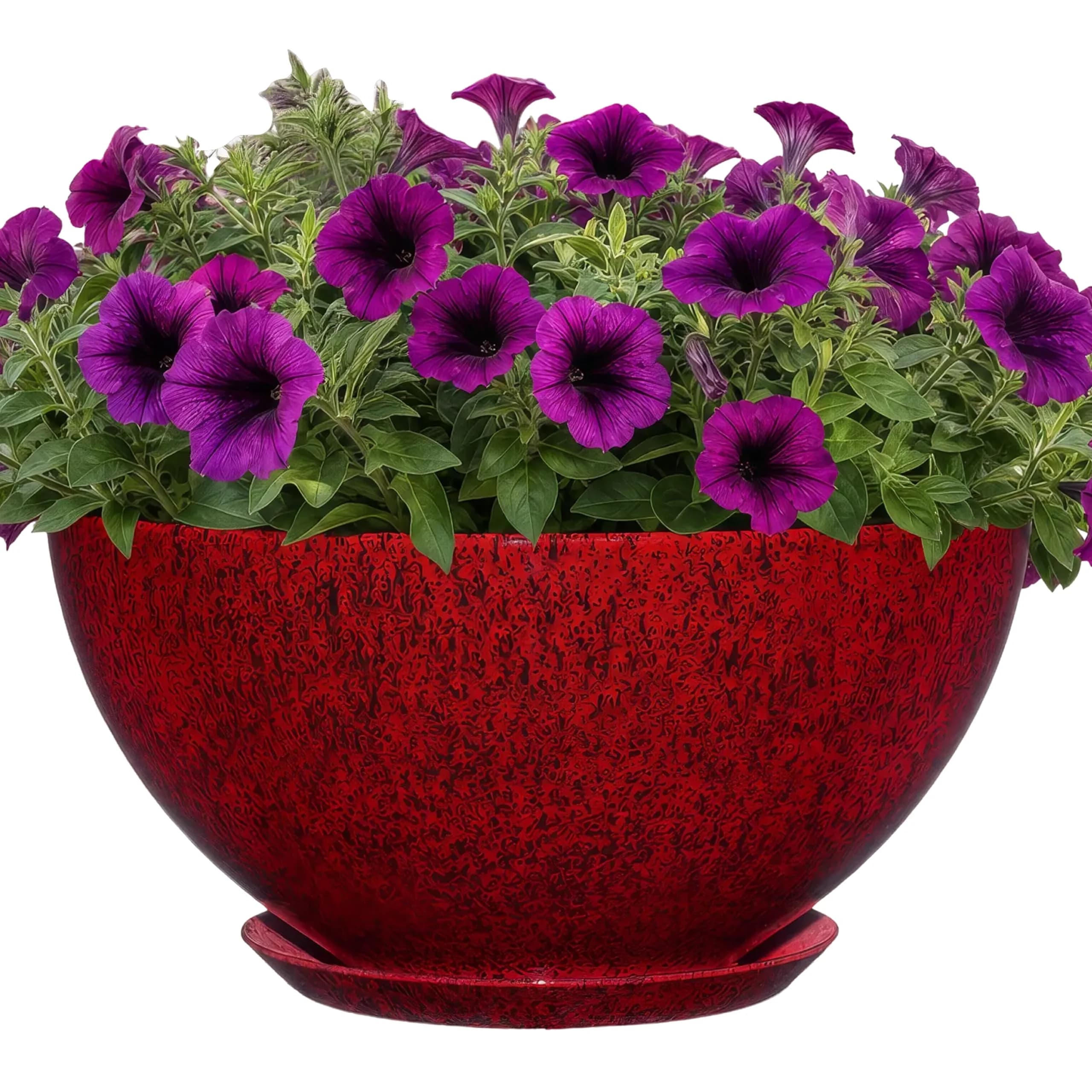GROWSCAPE Rosie Planter Bowl, 10” Lava Red | Weather-Resistant Resin with Drainage — Lava Red