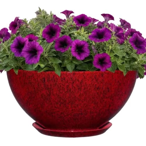 GROWSCAPE Rosie Planter Bowl, 10” Lava Red | Weather-Resistant Resin with Drainage thumbnail 1