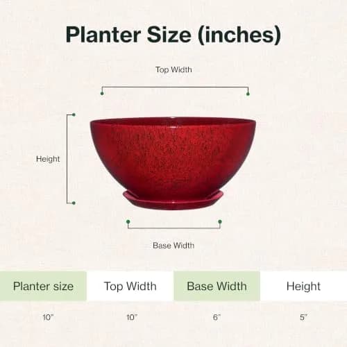 GROWSCAPE Rosie Planter Bowl, 10” Lava Red | Weather-Resistant Resin with Drainage thumbnail 6
