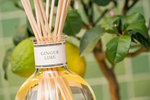 Dr. Vranjes Ginger Lime 250 ml Aroma Diffuser + White Sticks | Italian Luxury Home Fragrance thumbnail 5