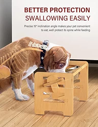 Vantic Elevated Dog Bowls, Small | Adjustable Height & Tilted Platform for Small Dogs thumbnail 4