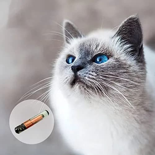 ISENVO Pet Microchips 1.4x8mm | ICAR Certified Animal Implant Chip for Small Pets thumbnail 5