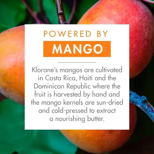 Klorane Nourishing Dry Hair Oil with Mango 3.3 Fl Oz | Hydrating & Protecting Vegan Spray thumbnail 3