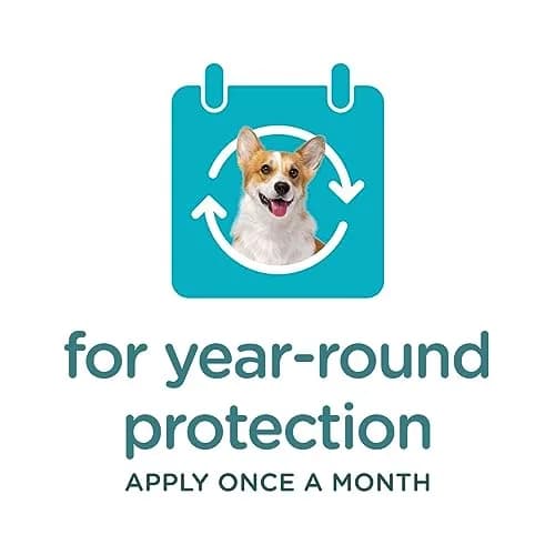 Sergeant's Guardian Flea & Tick Topical for Dogs 66+ lbs | 3-Month Protection, Quick-Dry Formula thumbnail 7