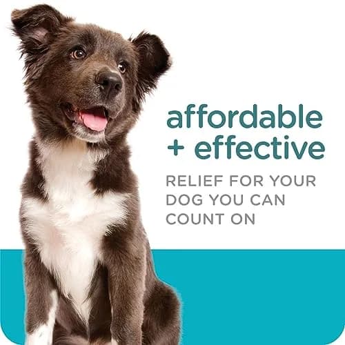 Sergeant's Guardian Flea & Tick Topical for Dogs 66+ lbs | 3-Month Protection, Quick-Dry Formula thumbnail 3