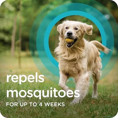 Sergeant's Guardian PRO Flea & Tick Topical for Dogs 33-66 lbs | 3-Month Protection, Quick Drying thumbnail 5