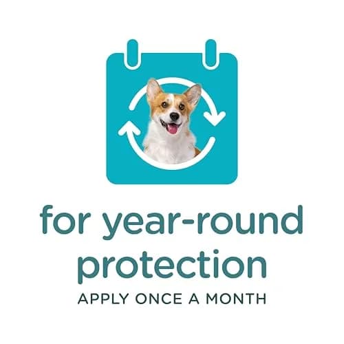 Sergeant's Guardian PRO Flea & Tick Topical for Dogs 33-66 lbs | 3-Month Protection, Quick Drying thumbnail 7