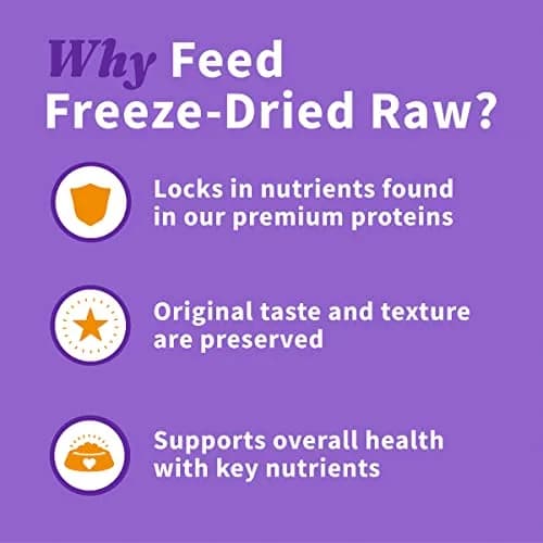 Halo Freeze-Dried Raw Dog Treats, Chicken Breast Recipe, 3.7 oz | Natural, High Protein Snack for Dogs thumbnail 5