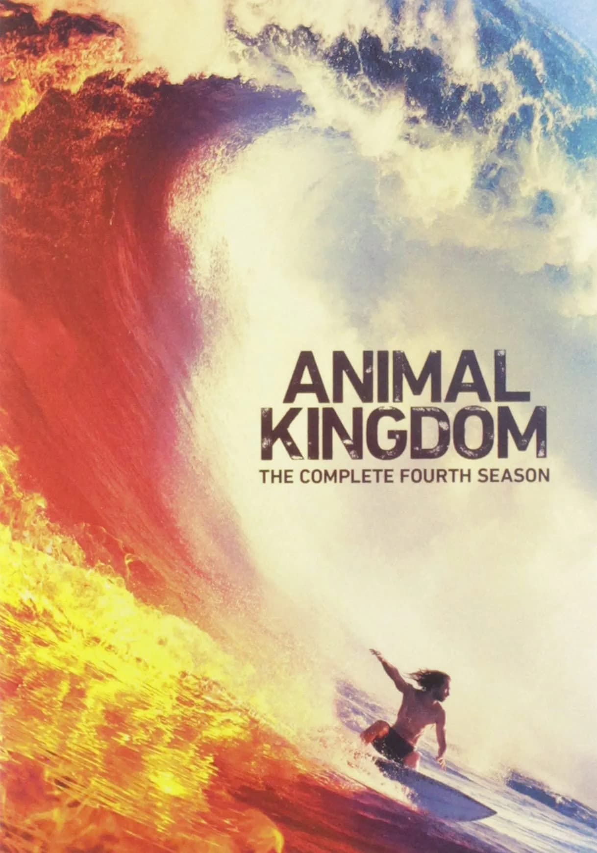 Warner Manufacturing Animal Kingdom: The Complete Fourth Season DVD 3-Disc NTSC Subtitled | Crime Drama - main product image