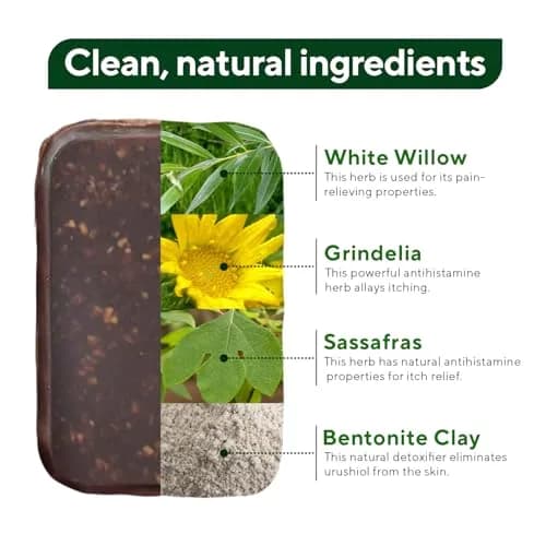 Marie Originals Poison Ivy Soap 6 Pack | Natural Skin Cleanser for Poison Ivy Relief thumbnail 3