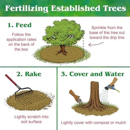 Down To Earth All Natural Fertilizers Organic Fruit Tree 15 lb | OMRI Listed for Organic Gardening thumbnail 5