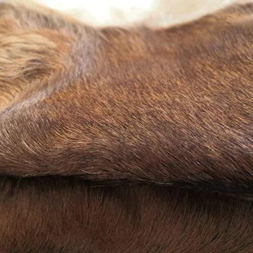Asuprui Red Deer Hide Rug 0.98m x 0.64m (3.2ft x 2.1ft) | Authentic Animal Skin Carpet for Bedroom thumbnail 8