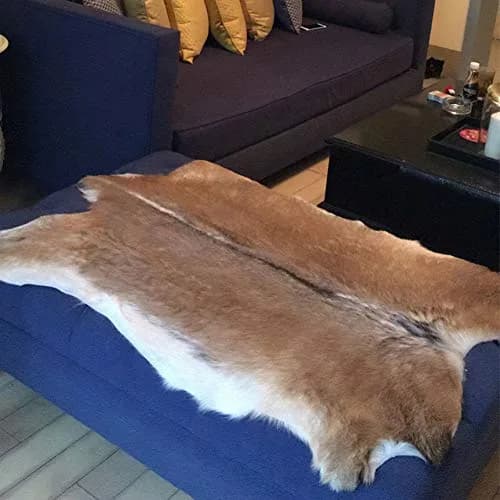 Asuprui Red Deer Hide Rug 0.98m x 0.64m (3.2ft x 2.1ft) | Authentic Animal Skin Carpet for Bedroom thumbnail 3