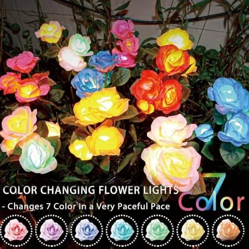 TONULAX Solar Garden Lights - Upgraded 7-Color Changing Rose Flower Lights (2 Packs) | Realistic LED Landscape Path Lights thumbnail 2