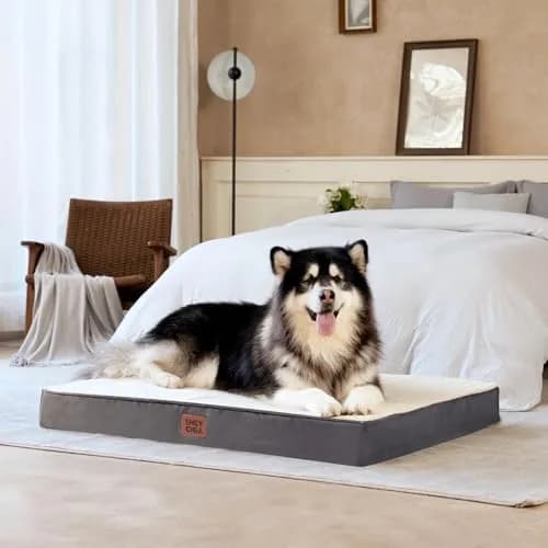 EHEYCIGA Orthopedic Dog Bed Large with Washable Cover 104cm x 69cm | Supportive Egg Foam & Plush Top thumbnail 7