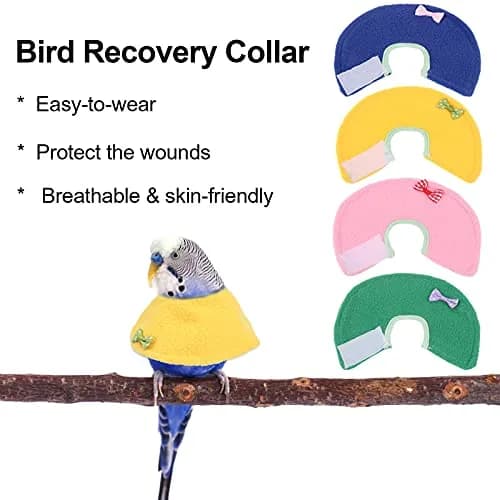Haomian 4 Pack Soft Bird Elizabethan Collars for Small Parrots | Adjustable Cotton Recovery Cone (70-120 chars) thumbnail 6