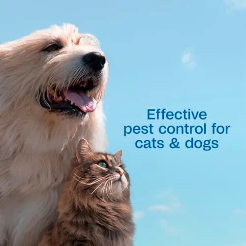 ADAMS Plus Flea & Tick Shampoo with Precor 177ml (6 Fl Oz) | Kills Fleas, Ticks, Eggs & Lice thumbnail 4