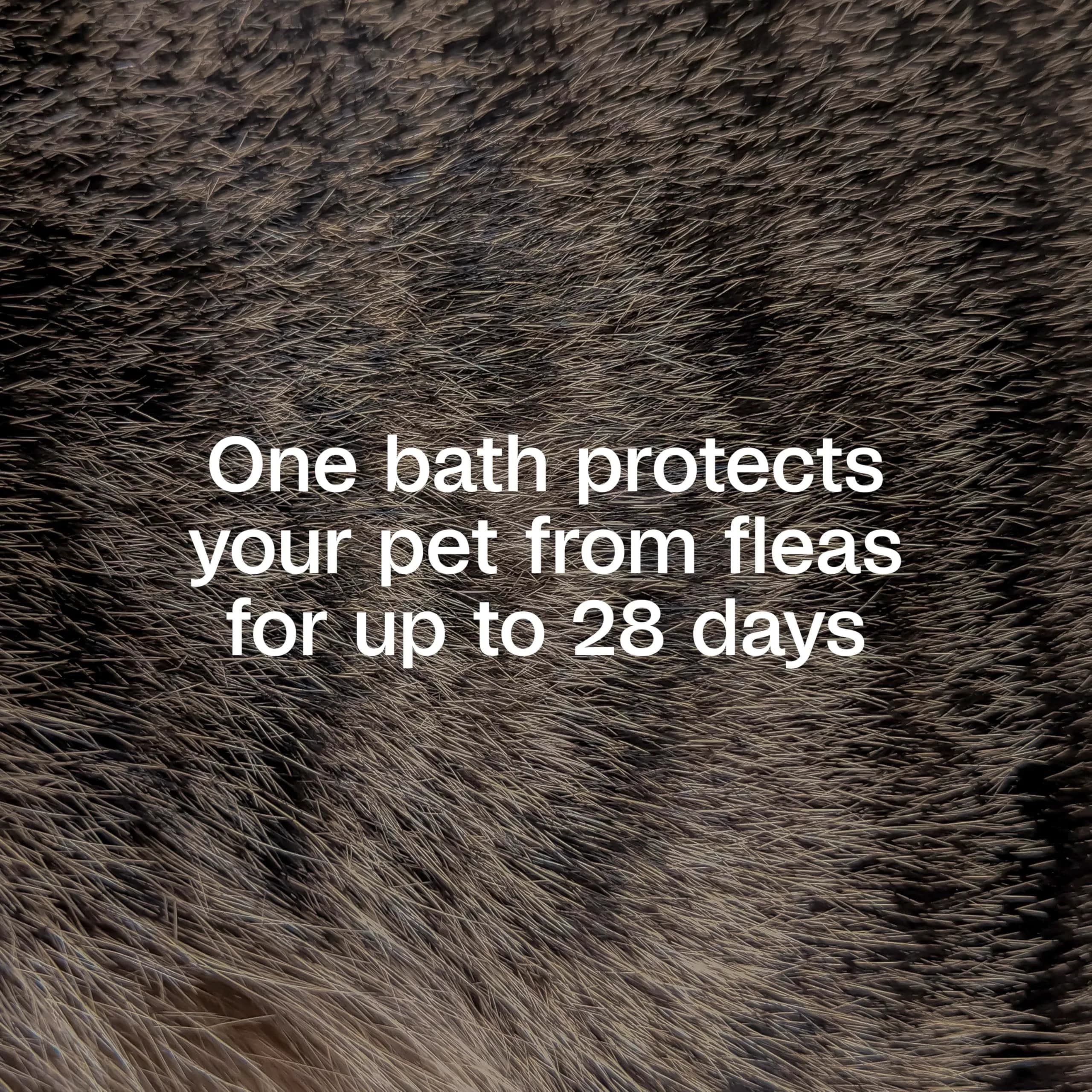 ADAMS Plus Flea & Tick Shampoo with Precor 177ml (6 Fl Oz) | Kills Fleas, Ticks, Eggs & Lice - view 3