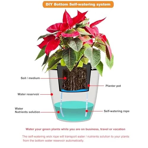 ORIMERC 30 feet 1/8 inch Self Watering Capillary Wick Cord for Plants | DIY Hydroponic & Auto Watering System thumbnail 7