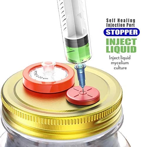 Biomed Solutions 13mm Self Healing Injection Ports Vials Rubber Stoppers 100pcs | Mushroom & Liquid Culture Jar Seal thumbnail 3