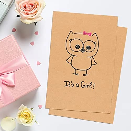 Sweetzer & Orange Kraft Blank Postcards 10.16cm x 15.24cm (4"x6") | 60-Count Pack for Mailing & Notes thumbnail 7