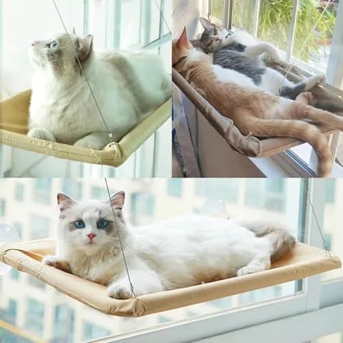 JinRui-T Khaki Cat Window Hammock Perch 55.1cm (21.7in) | Sunny Bed for Cats with Strong Suction Cups thumbnail 4