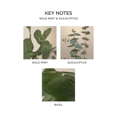 NEST New York Scented 3-Wick Candle, Wild Mint & Eucalyptus | Elegant Home Fragrance (70-120 chars) thumbnail 4