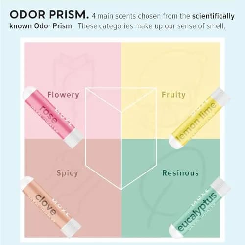 MOXE Smell Training Kit Phase 1 | Olfactory Support with 4 Essential Oil Sticks for Smell Recovery thumbnail 3
