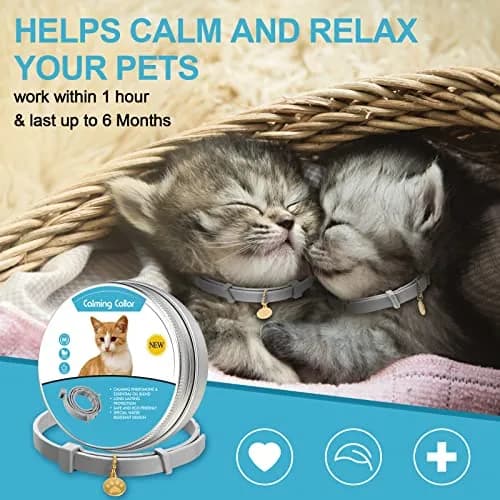 Weewooday 4 Pcs Cat Calming Collar 38 cm (15 Inches) | Pheromones for Stress & Anxiety Relief thumbnail 2