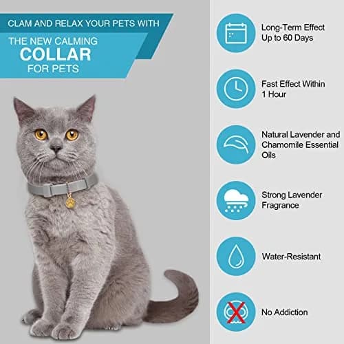 Weewooday 4 Pcs Cat Calming Collar 38 cm (15 Inches) | Pheromones for Stress & Anxiety Relief thumbnail 3