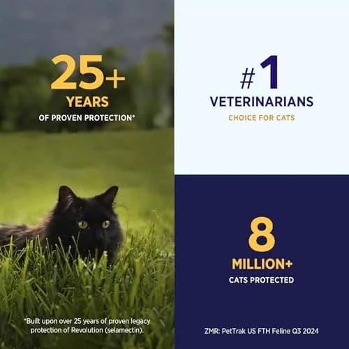 Revolution Plus Topical Solution for Cats 5.6-11 lbs | 7-in-One Parasite Protection thumbnail 4