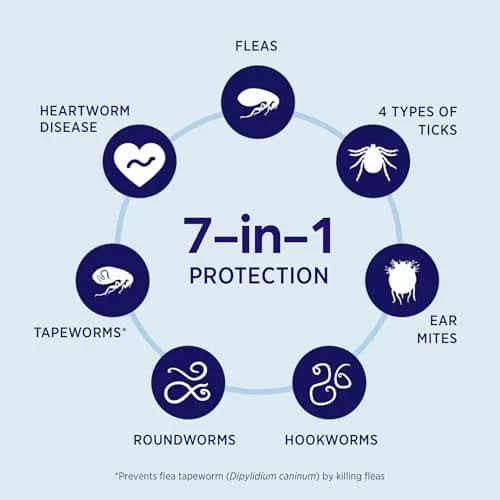 Revolution Plus Topical Solution for Cats 5.6-11 lbs | 7-in-One Parasite Protection thumbnail 3