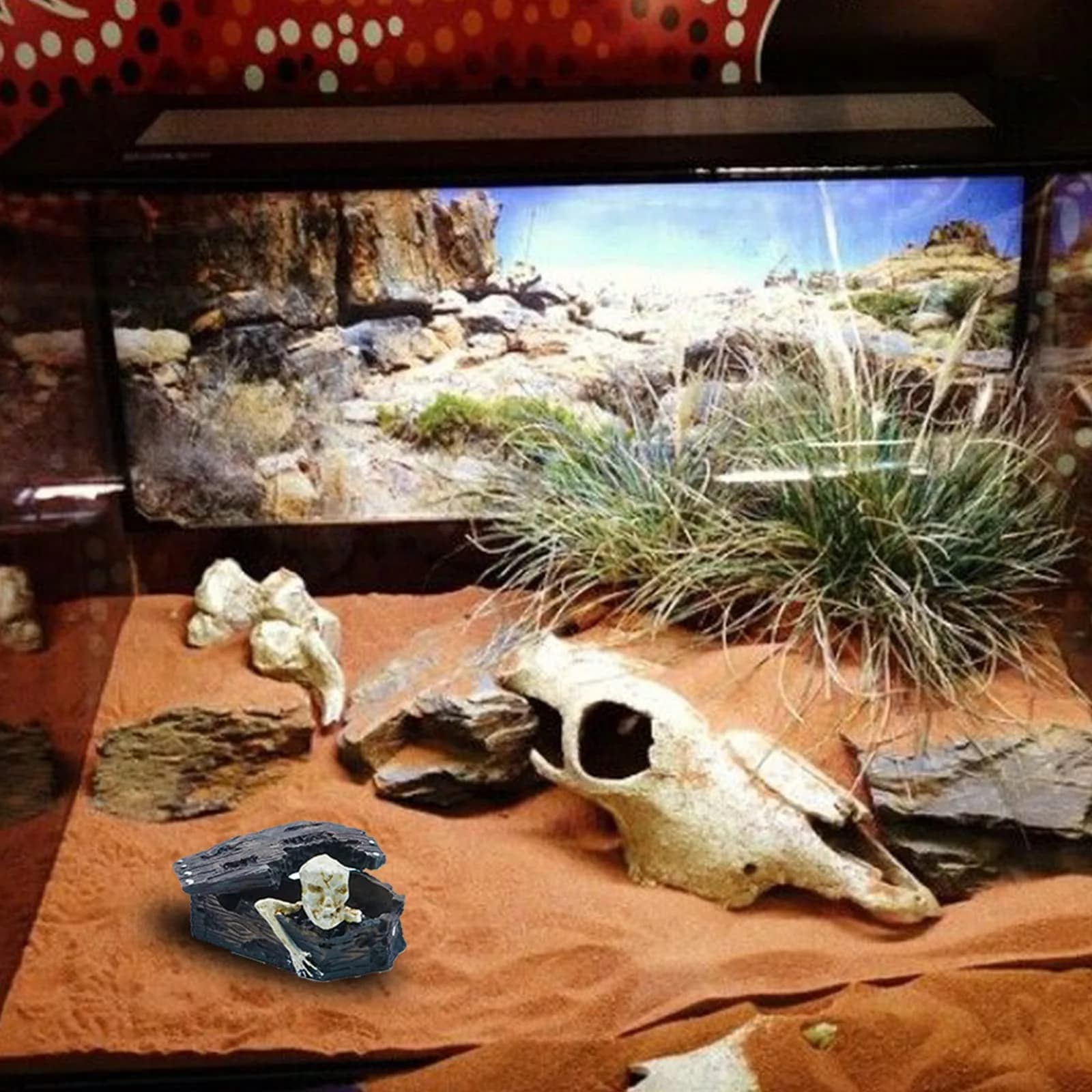 Kocris Casa Skull Coffin Aquarium Decoration 8.9cm (3.5") | Resin Cave House for Fish, Reptiles, and Terrariums - view 8