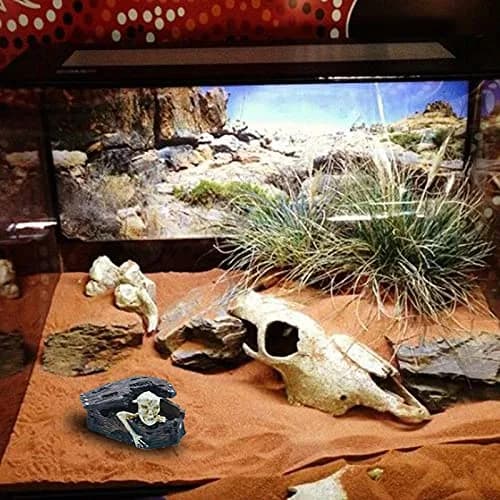 Kocris Casa Skull Coffin Aquarium Decoration 8.9cm (3.5") | Resin Cave House for Fish, Reptiles, and Terrariums thumbnail 8