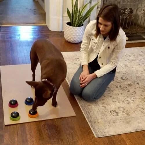 Hunger for Words Talking Pet Starter Set - Dog Buttons for Communication, 4 Recordable Buttons | Developed by Speech Therapist Christina Hunger thumbnail 5