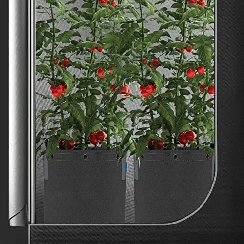 AC Infinity Heavy-Duty 7 Gallon Fabric Pots, 5-Pack | Air-Pruning Grow Bags for Healthy Roots thumbnail 7