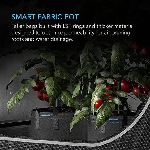 AC Infinity Heavy-Duty 7 Gallon Fabric Pots, 5-Pack | Air-Pruning Grow Bags for Healthy Roots thumbnail 2