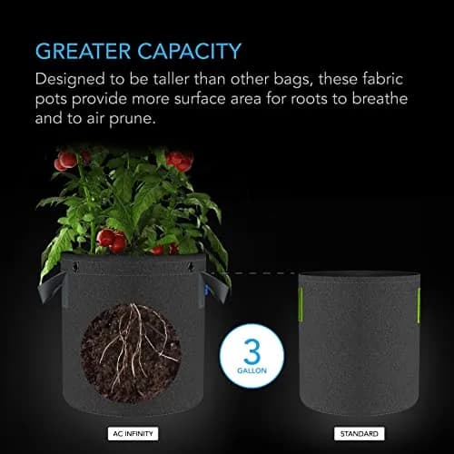 AC Infinity 3 Gallon Fabric Pots | Heavy-Duty Grow Bags for Plants in India thumbnail 3