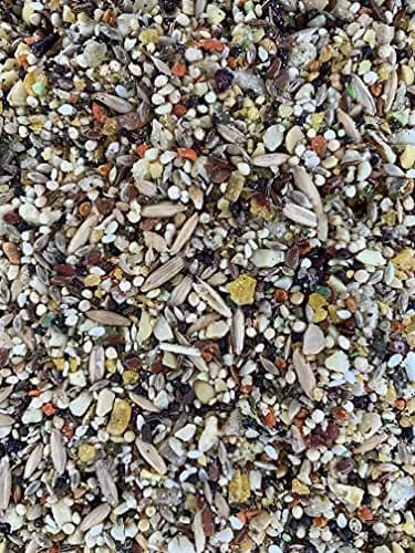 Goldenfeast VL Patagonian Blend 3 lb Bag | Natural Bird Food for Small & Medium Birds thumbnail 2
