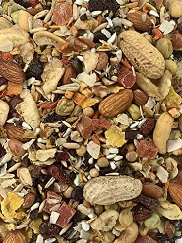 Goldenfeast VL Paradise Treat Mix 17.5 lb | Natural Bird Food for Parrots & Large Birds thumbnail 2