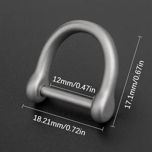 TISUR Titanium D-Ring Keychain with Screw Shackle, U Shape Key Chains Rings, Car Keys Tools, DIY Leather Craft Purse/Wallet Buckle (Matte, Small) | Forged Titanium Alloy thumbnail 2