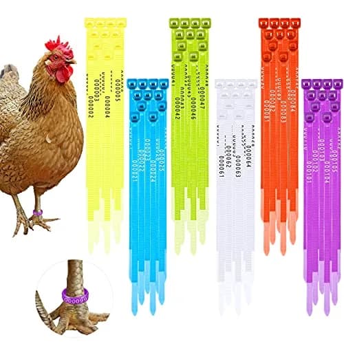 Shappy 120 Pcs Adjustable Chicken Leg Bands Numbered 1-120, 6 Colors | Bulk Farm Management & Wire Organizing thumbnail 1