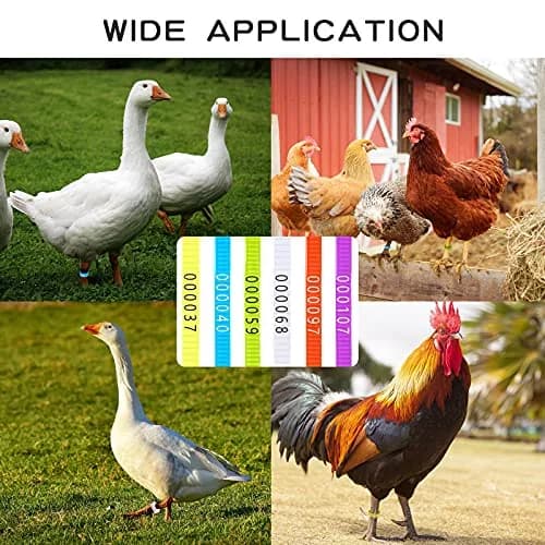 Shappy 120 Pcs Adjustable Chicken Leg Bands Numbered 1-120, 6 Colors | Bulk Farm Management & Wire Organizing thumbnail 6