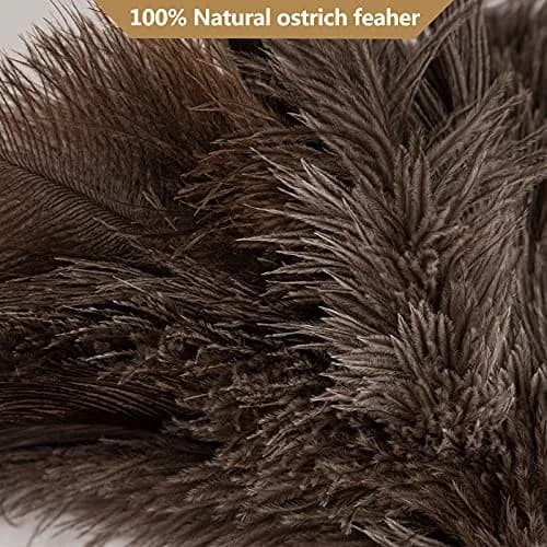 Aldwin 16" Gray Ostrich Feather Duster with Wooden Handle | Reusable & Washable Cleaning Tool thumbnail 3