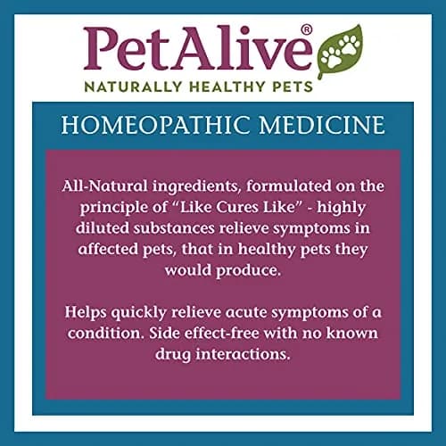 Native Remedies Thyroid Soothe Granules | Natural Pet Thyroid Support for Dogs & Cats thumbnail 5