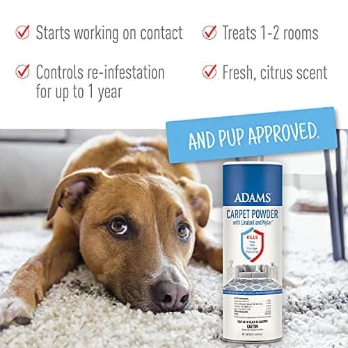 ADAMS Carpet Powder & Shampoo Bundle | Flea & Tick Control for Cats & Dogs, 16oz (473ml) | Long-Lasting Flea Cycle Breaker thumbnail 2